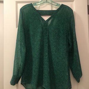CAbi sheer blouse